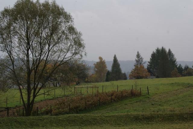 Villa Agroturystyka U Maciejowej Lanckorona Exterior foto